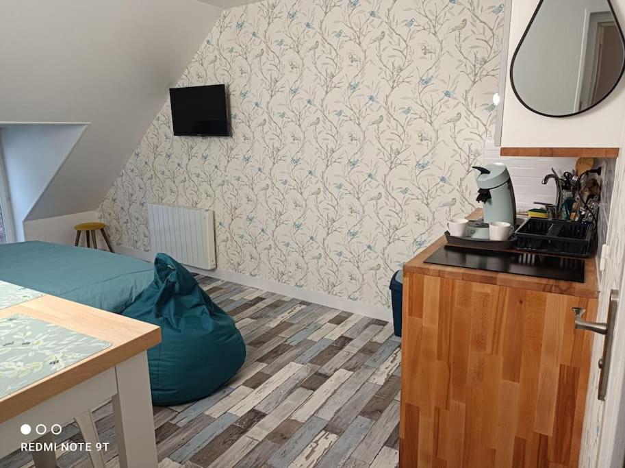 Magnifique Studio Climatisation, Parking A Velos, Velos En Option, Centre Ville Parking Prive Jardin Montargis Ngoại thất bức ảnh